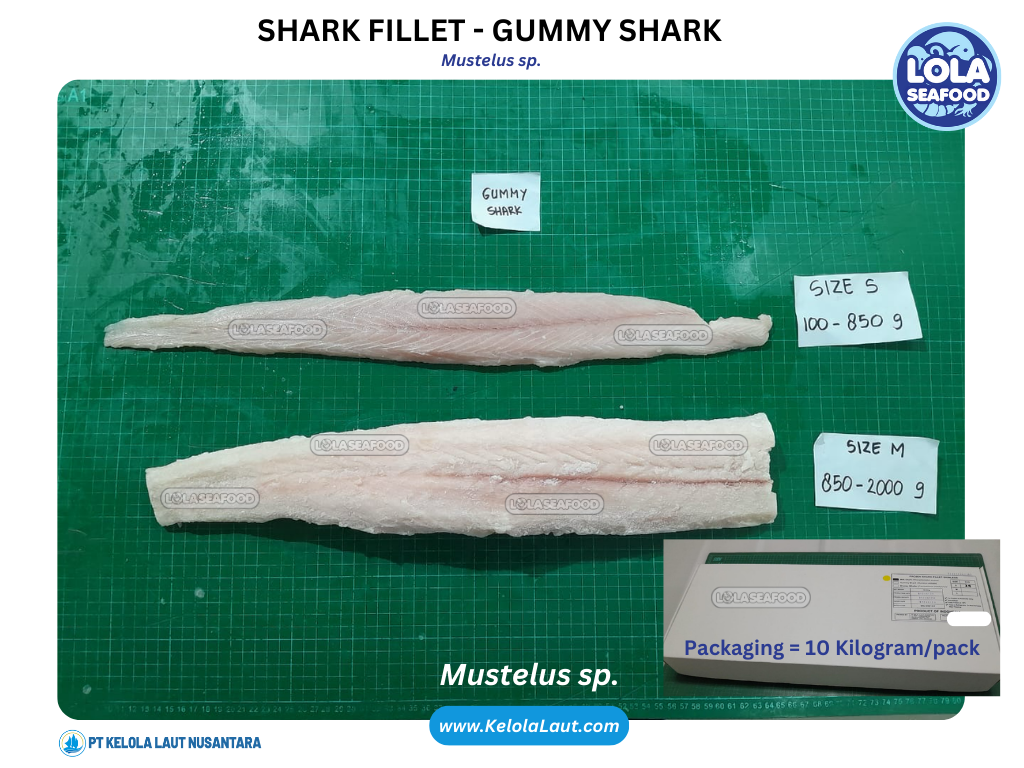 Gummy Shark Fillet